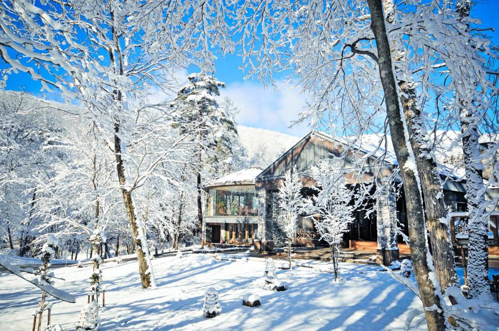 Sierra Resort Hakuba