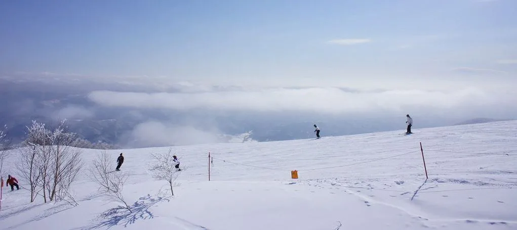 hakuba snow report